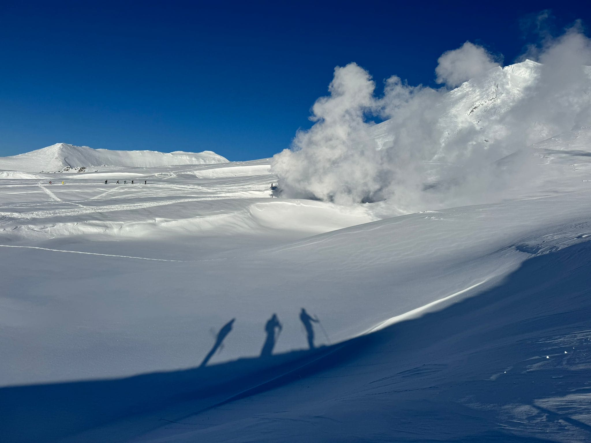 Snowy landscape