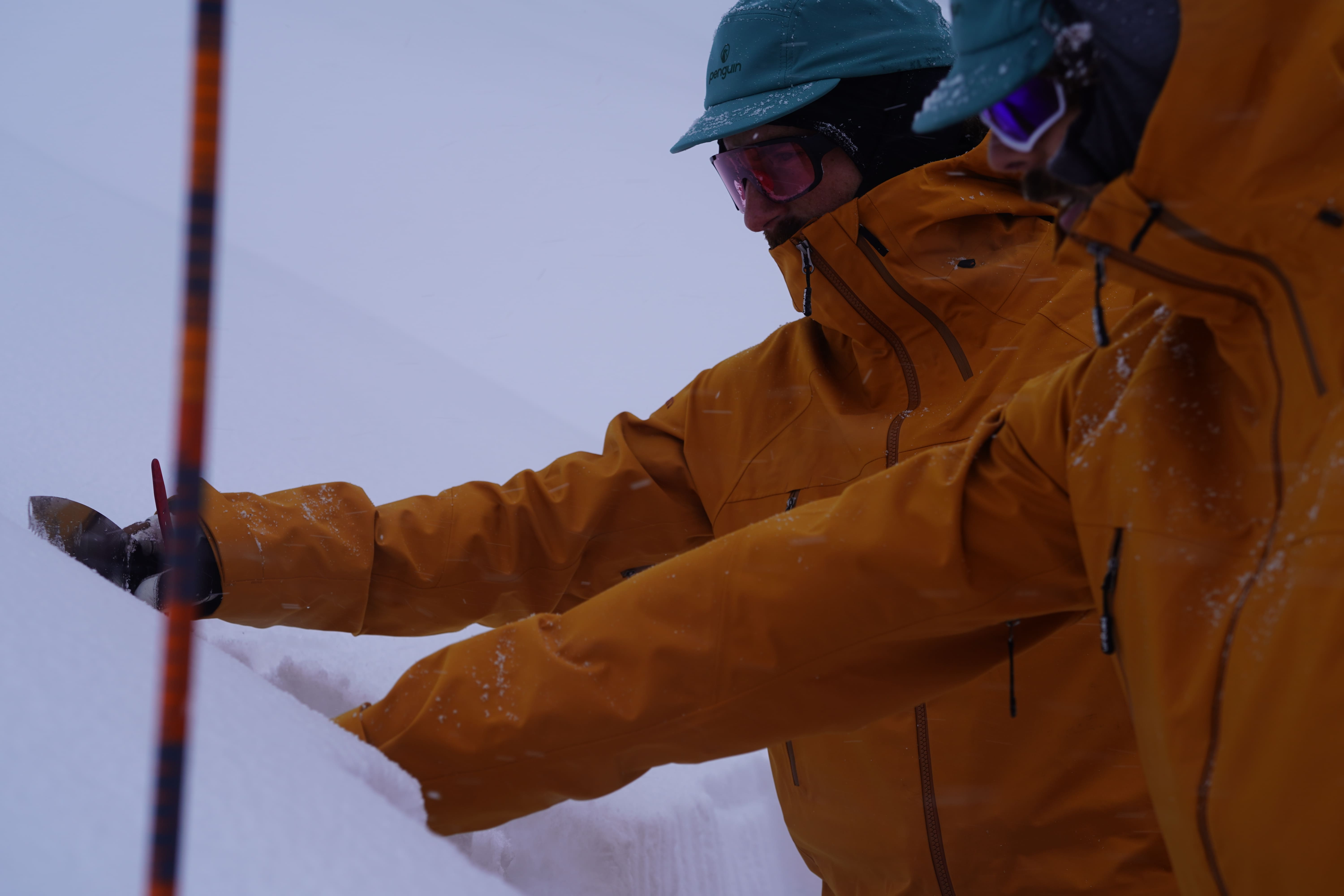 snowpit, probe, snow knife, Penguin clothing, Uller sunglasses